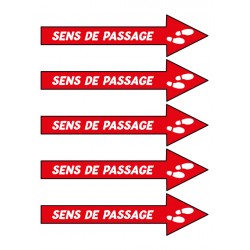 Sens de Passage (x5)